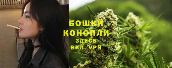 бошки Пестово