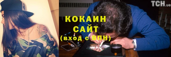 соль ск Пересвет