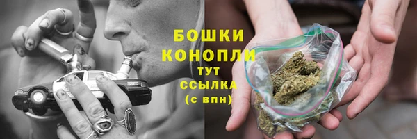 PSILOCYBIN Армянск