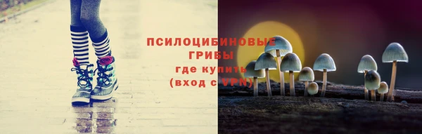 соль ск Пересвет