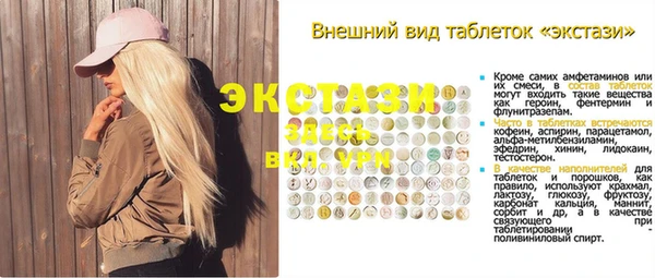 соль ск Пересвет