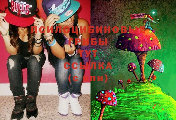 бошки Пестово