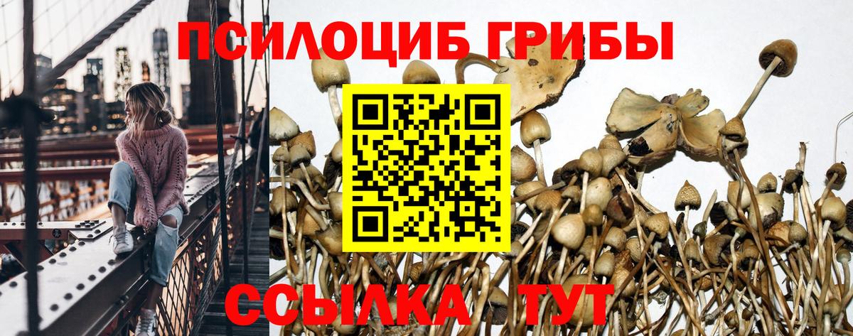 Псилоцибиновые грибы мицелий Уссурийск