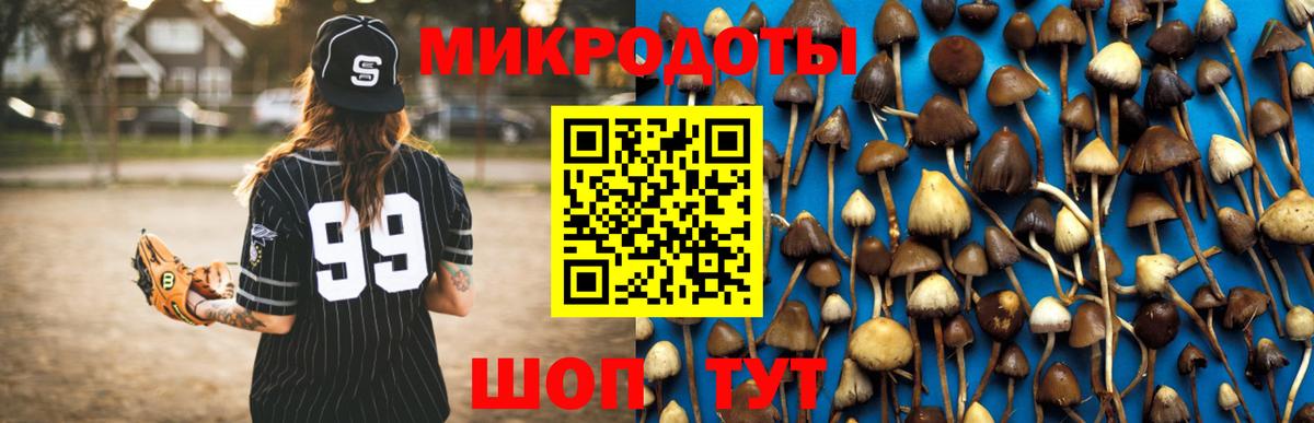 Псилоцибиновые грибы GOLDEN TEACHER Уссурийск
